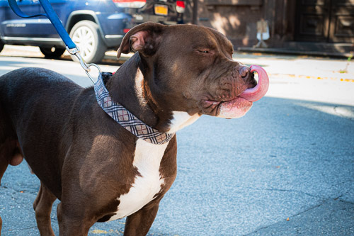 Farmers Market  |  Troy, NY - Oct 2025